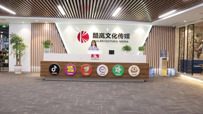 影视制作素材网站下载速度：揭秘影响下载效率的关键因素